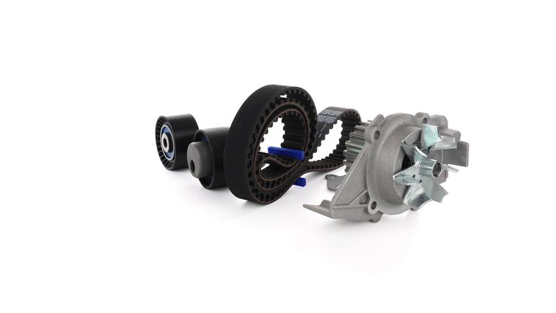 Bomba de agua + kit correa distribución SKF VKMC 03244