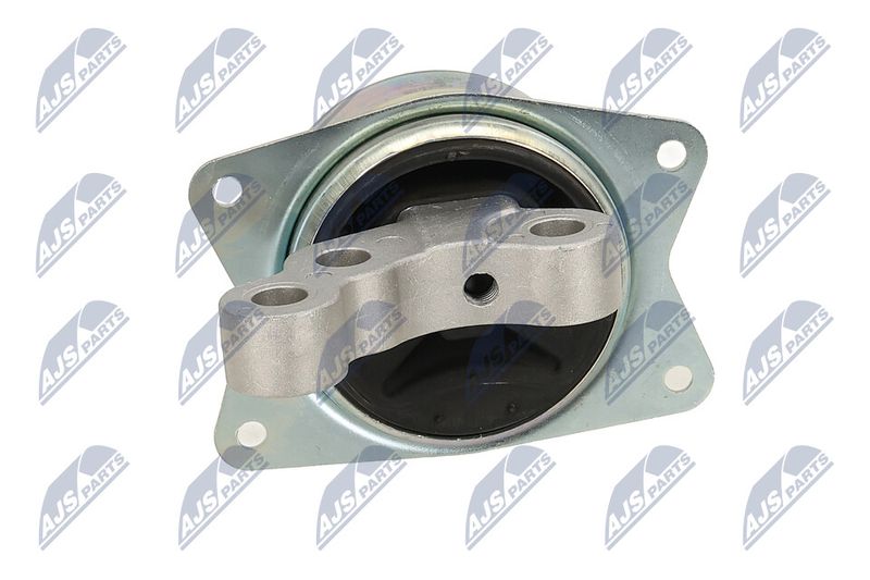 Paigutus, Mootor, NTY ZPS-PL-049