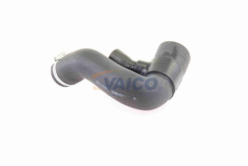 VAICO V10-3823 Charge Air Hose