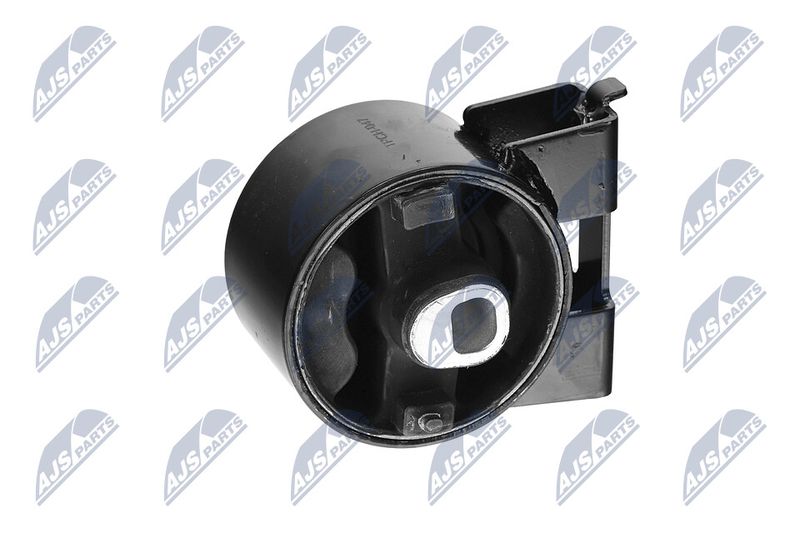 Paigutus, Mootor, NTY ZPS-CH-047