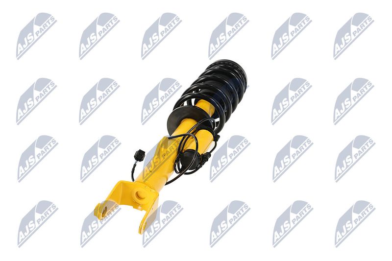 Amort, NTY A-CH-122