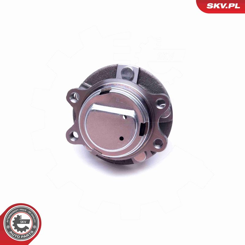 ESEN SKV 29SKV415 Wheel Bearing Kit