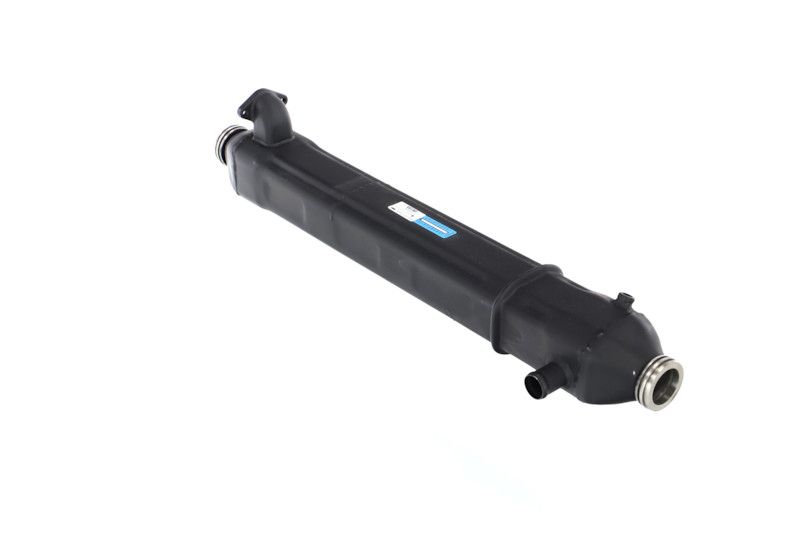 REMANTE 010-001-000024R EGR Module