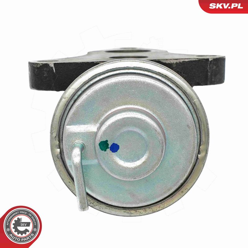 ESEN SKV 14SKV263 EGR Valve