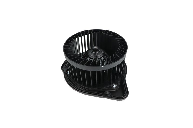 Salongipuhur, NRF 34136