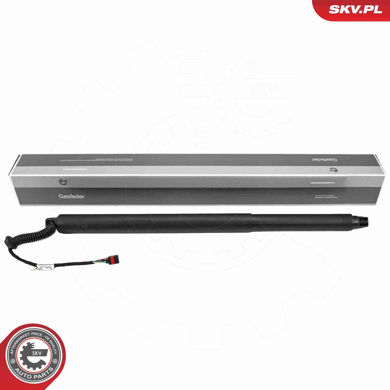 ESEN SKV 52SKV239 - Electric Motor, tailgate
