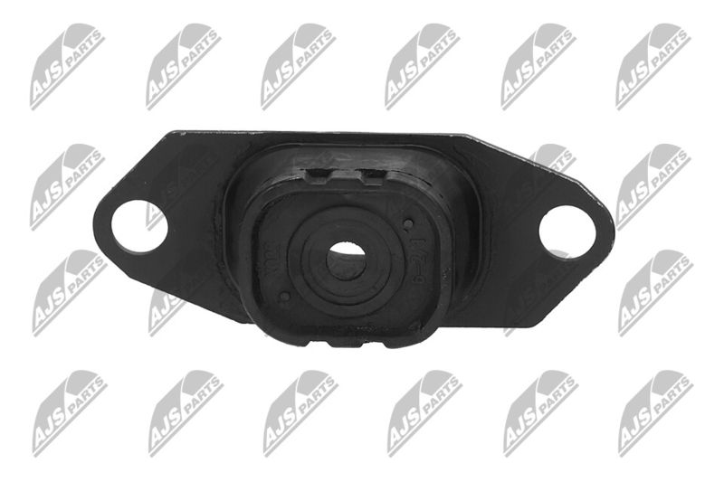 Paigutus, Mootor, NTY ZPS-NS-055