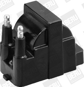 BorgWarner (BERU) ZS421 Ignition Coil