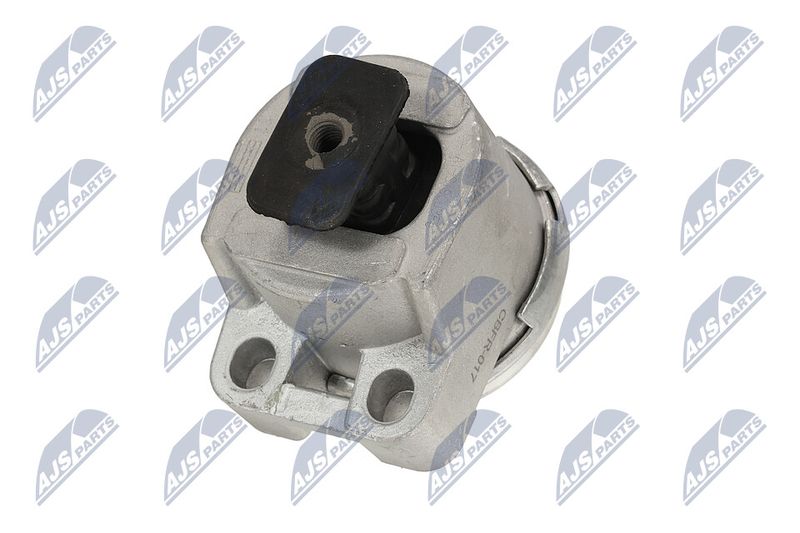 Paigutus, Mootor, NTY ZPS-FR-017