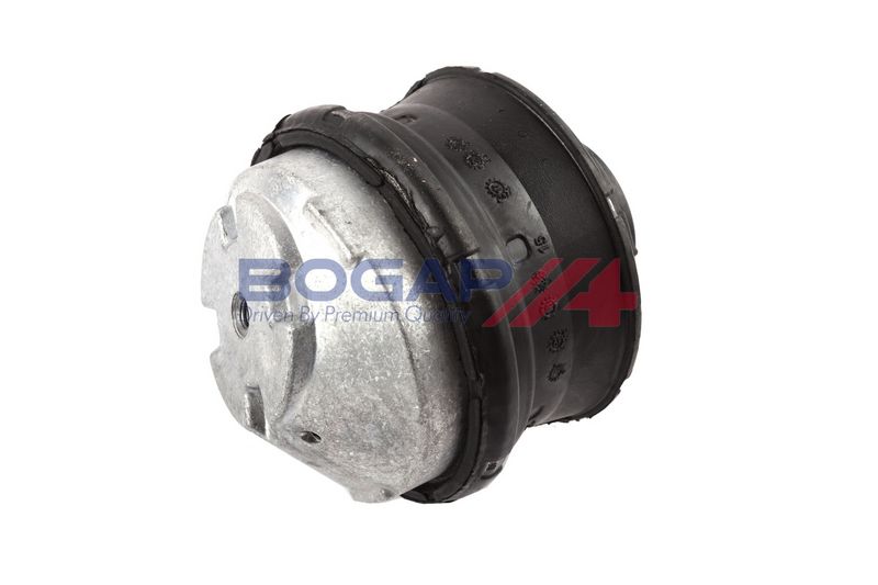 BOGAP Variklio montavimas