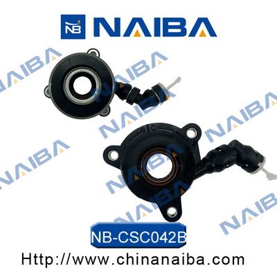 NB-CSC042B.JPG