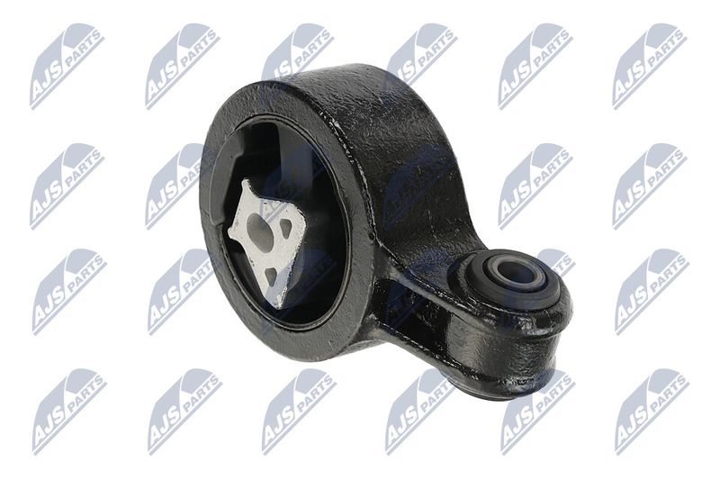 Paigutus, Mootor, NTY ZPS-CH-137