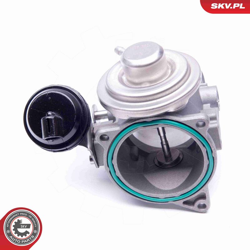 ESEN SKV 14SKV106 EGR Valve