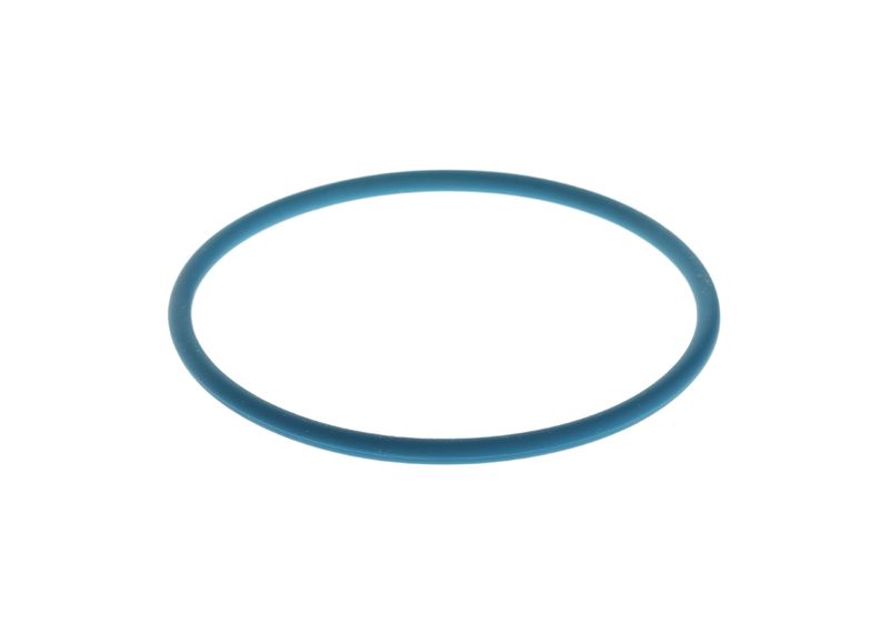 BOSCH F 00N 204 925 Rubber Ring