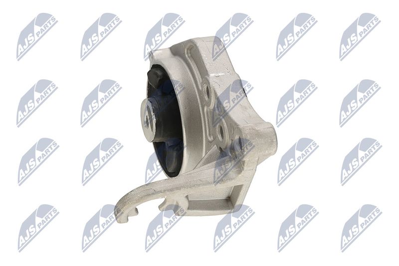 Paigutus, Mootor, NTY ZPS-CH-113