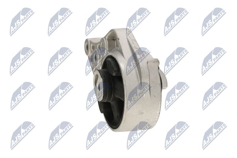 Paigutus, Mootor, NTY ZPS-CH-113