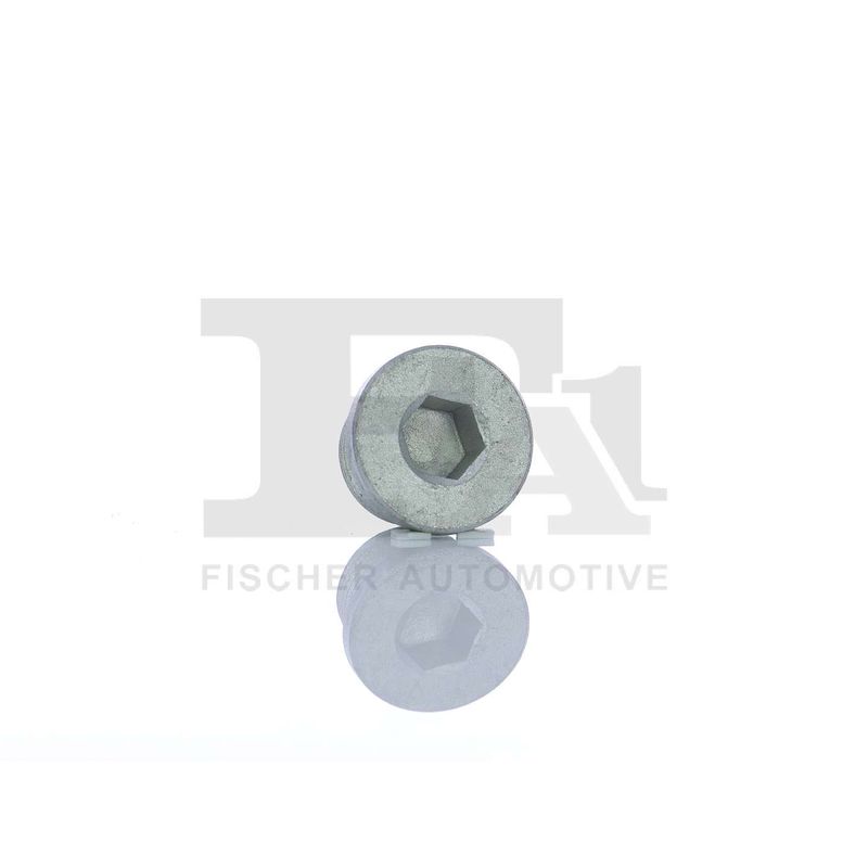 FA1 257.858.001 Screw Plug, oil sump