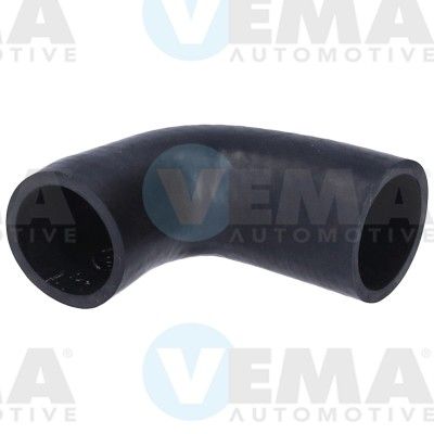 VE55965.JPG