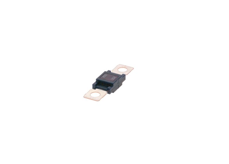 BOSCH 1987531004 Fuse
