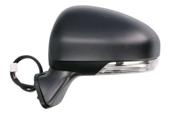BLIC 5402-19-2002509P Exterior Mirror