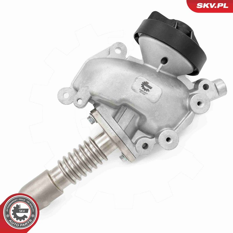 ESEN SKV 14SKV257 EGR Valve