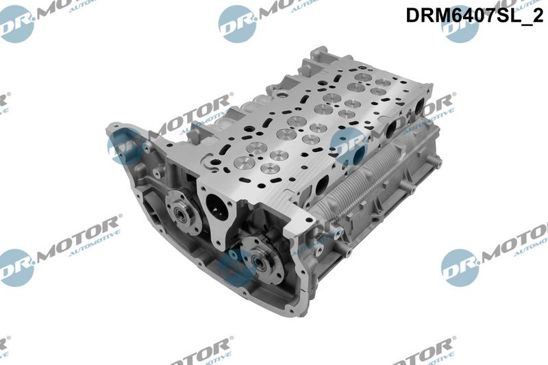 Dr.Motor Automotive Cilindro galvutė