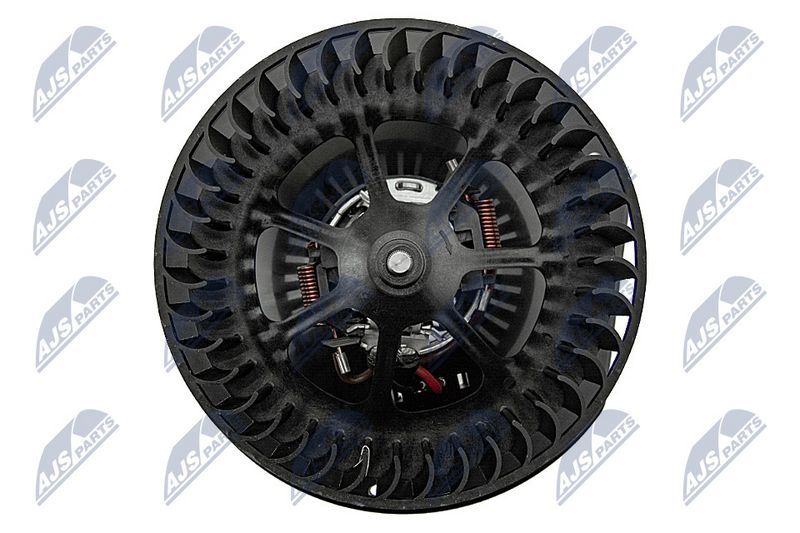 Salongipuhur, NTY EWN-WW-014