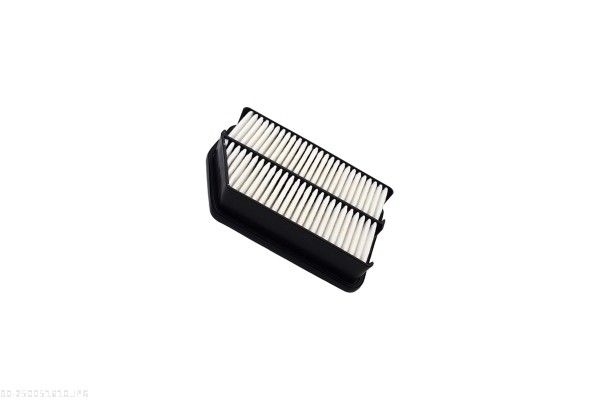 AUTOMEGA 250051610 Air Filter
