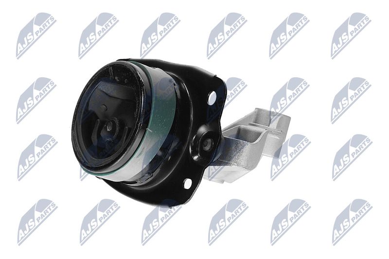 Paigutus, Mootor, NTY ZPS-CH-147