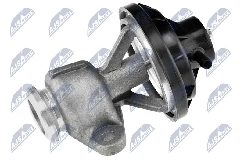 EGR-VW-015_1-WM.JPG