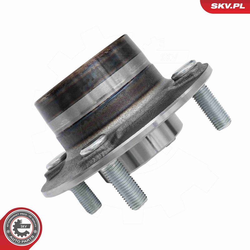 ESEN SKV 29SKV713 Rato guolio komplektas