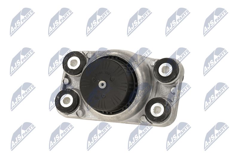 Paigutus, Mootor, NTY ZPS-LR-014