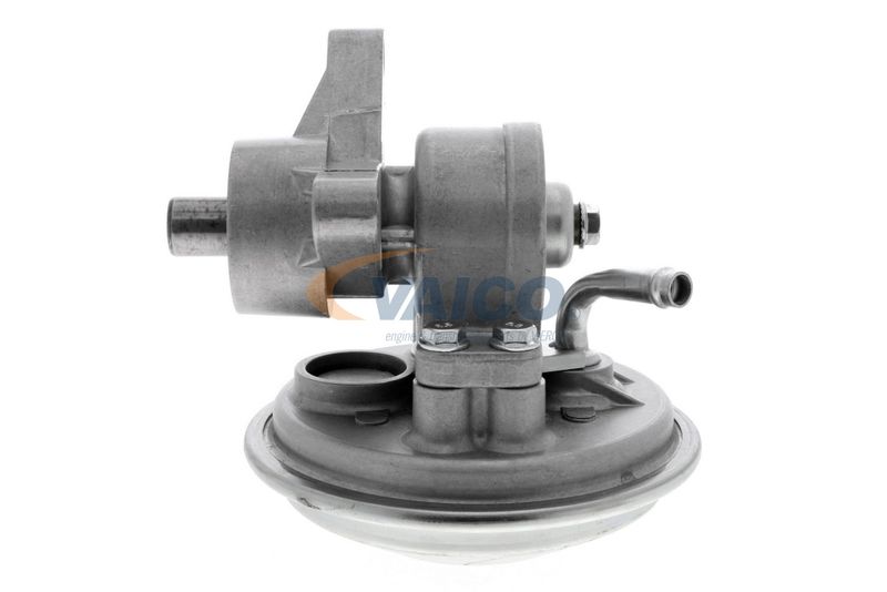 VAICO V25-1907 Mounting, engine