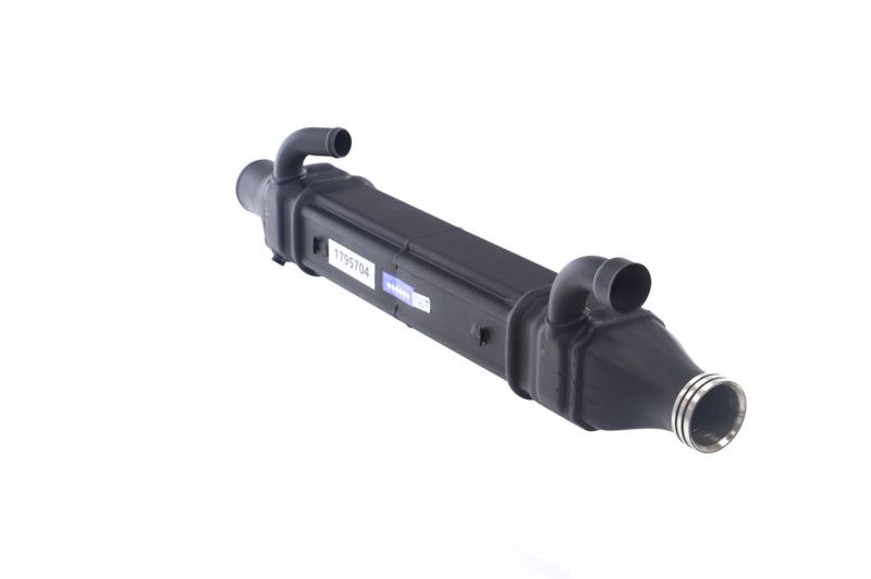 REMANTE 010-001-000022R EGR Module