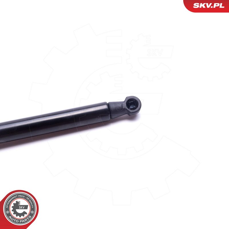 Gaasivedru, pagasi-, veoruum, ESEN SKV 52SKV573