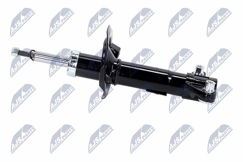 Amort, NTY A-NS-016