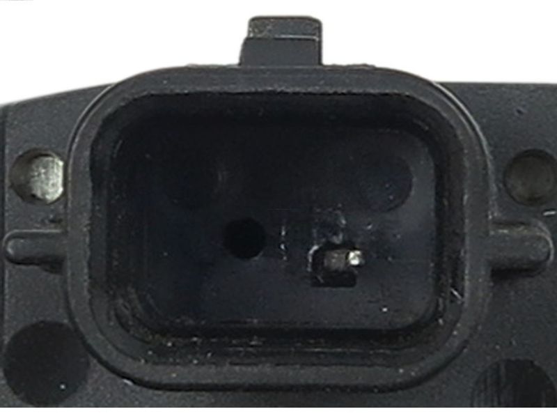 89137.JPG