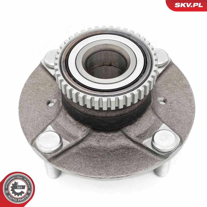 ESEN SKV 29SKV646 Wheel Bearing Kit