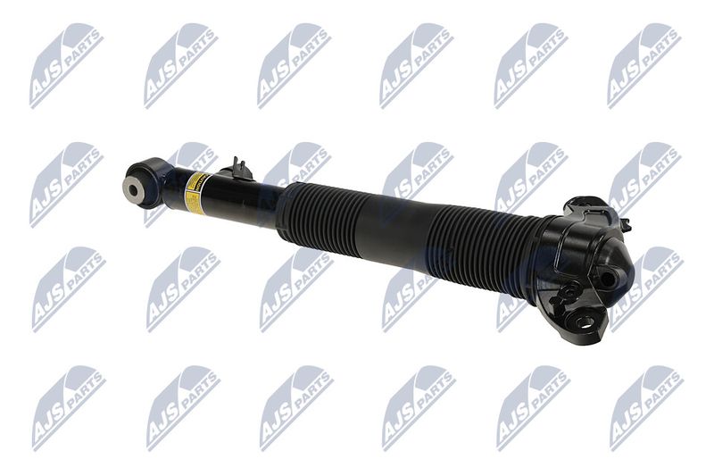 Amort, NTY A-LR-036