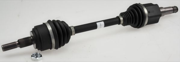GKND12957A.JPG