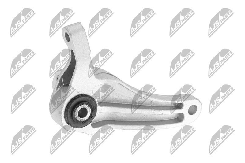 Paigutus, Mootor, NTY ZPS-FR-049