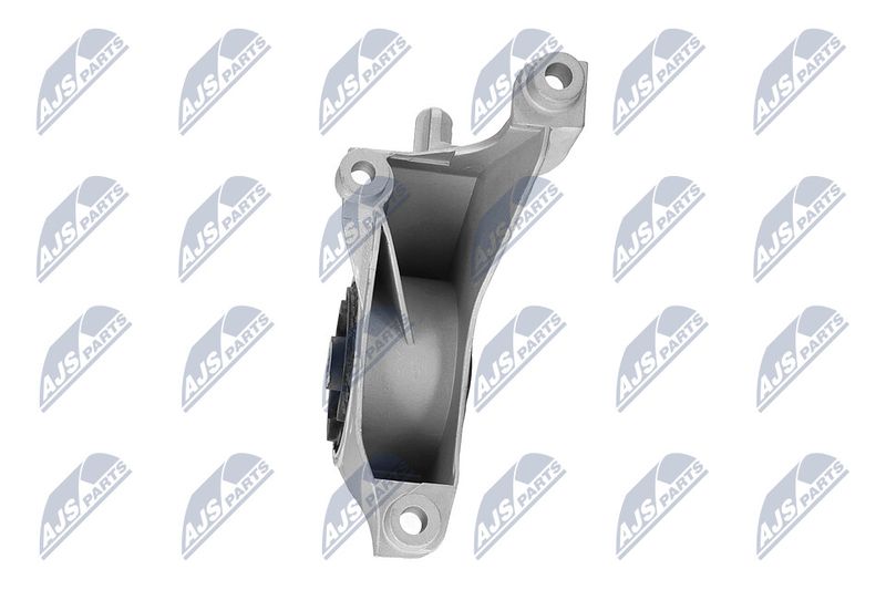 Paigutus, Mootor, NTY ZPS-CH-149