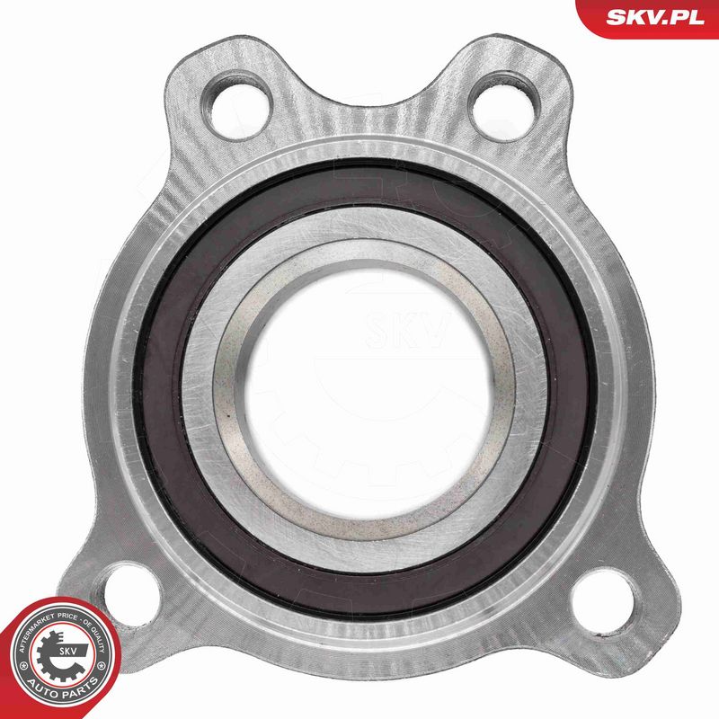 Rattalaagrikomplekt, ESEN SKV 29SKV711