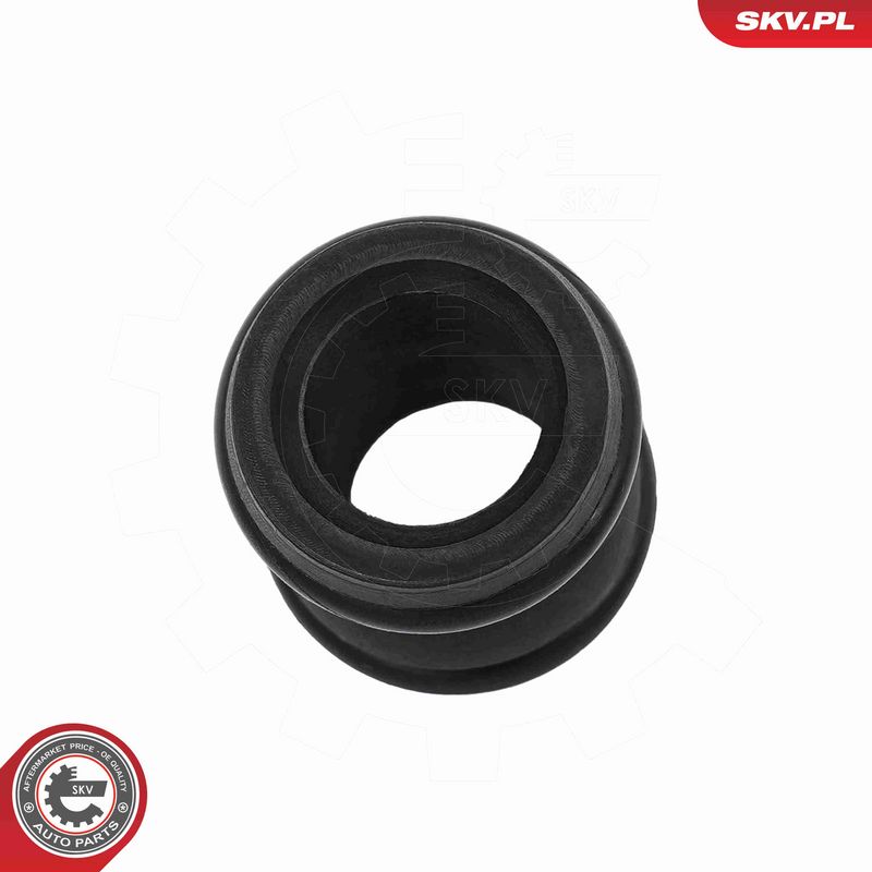 ESEN SKV 54SKV417 Coolant Pipe