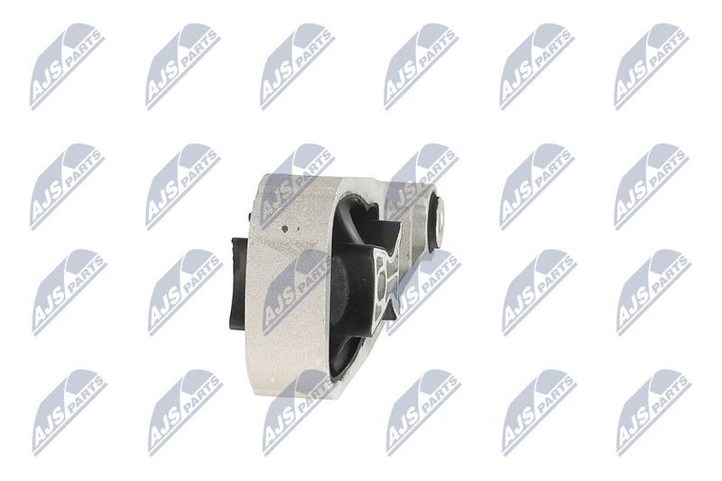 Paigutus, Mootor, NTY ZPS-LR-009