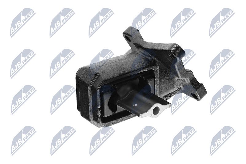 Paigutus, Mootor, NTY ZPS-CH-030