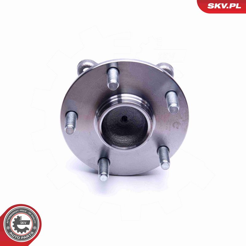 ESEN SKV 29SKV276 Wheel Bearing Kit