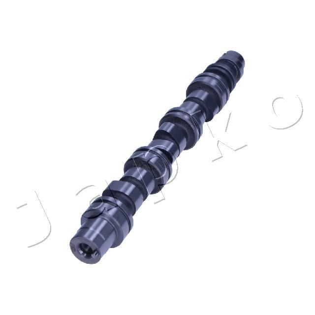6DW013_2.JPG