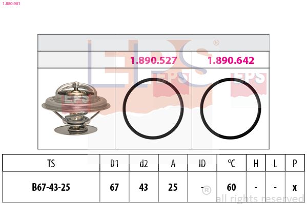 1.880.981-EPS.JPG