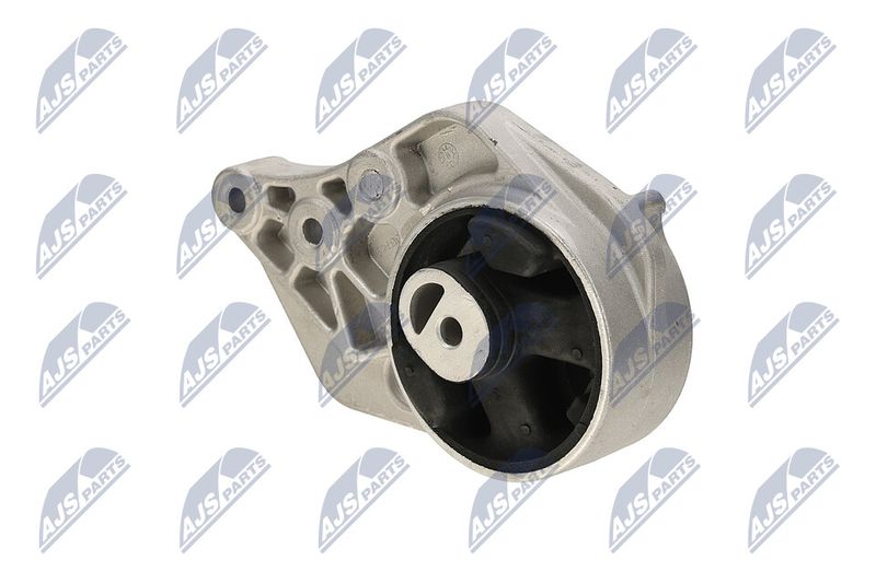 Paigutus, Mootor, NTY ZPS-CH-113